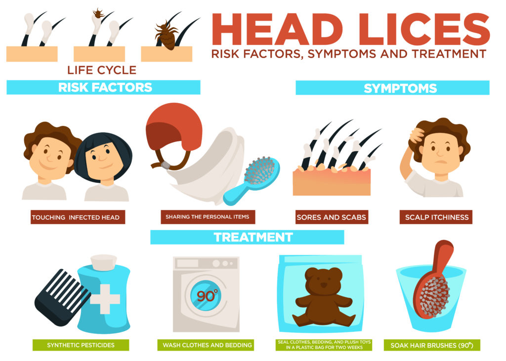All you need to know about.... Head Lice